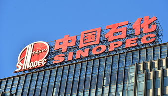 A股77家公司上半年獲政府補貼過億，中國石化成“補貼王”