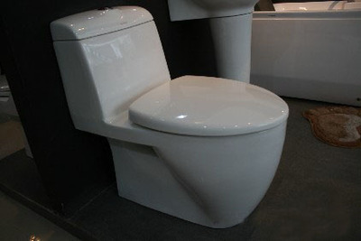 陶瓷衛生潔具八見解 多功能、富于表現力與生命力