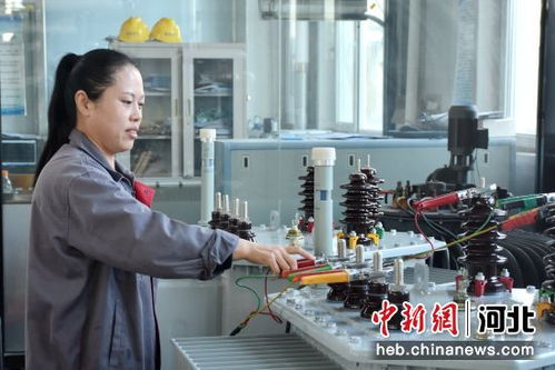 河北清苑 綠色工廠為經濟發展注入新動能，商務咨詢保駕護航